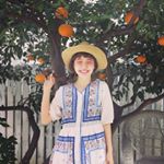 12724749_1507369486236291_1262303396_a