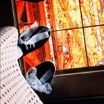 11250167_436864209831667_1664148518_a