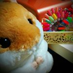 11313350_537725609708426_1062508687_a