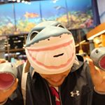 11176481_1593313984266913_366983084_a