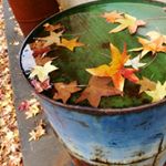 11821900_887167551358289_33579046_a