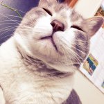 10729180_886490504705425_1579668793_a