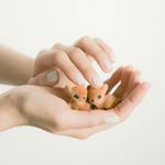 12816821_142229219500047_557301356_a