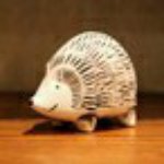 11375924_1645478492368922_915341388_a