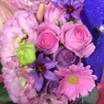 12331456_1715485472014591_1692712706_a