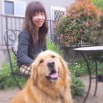 11271983_1606418756271241_130527950_a