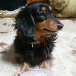 12750098_1718122438425388_160960567_a