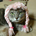 924544_100351756962983_429704177_a