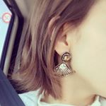 12716506_434267096769356_1986537638_a