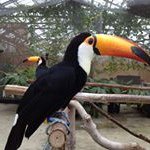 10725137_546725998804911_1986854481_a