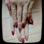 11820488_184119561922011_1186344857_a