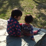 11208498_453324814830399_1314426367_a