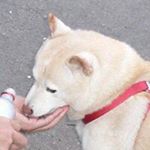 11373639_1627891530809283_1748800838_a