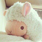 924401_679605105458163_263356296_a