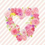 11356028_1693695264234816_1653991303_a