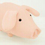 11326448_700282233437577_1883166315_a