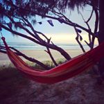 12424533_219906261677838_694133311_a