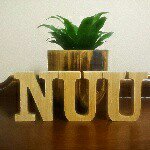 10995032_1552932348303183_1367370522_a