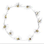 12145303_335819389875552_334277486_a