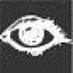 10499047_339232842891861_385901713_a