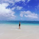 12224290_1663287900622777_428641711_a