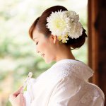 11417226_1478247905801039_1744803973_a