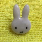 11326667_497679643716828_149145811_a