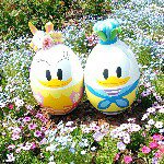 11245912_368283673372121_1906645891_a