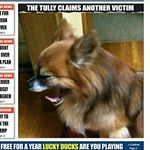 1171755_438602559667383_701751462_a