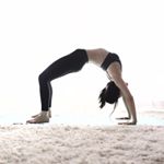 11910466_721579641281811_231360355_a