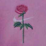 12826268_819530044836344_1934970792_a