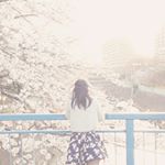 12328431_235816923422271_735307471_a