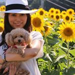 11201578_880206112057879_1494972151_a