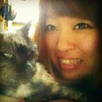 12748382_1752799474939913_310037873_a