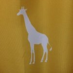 10598487_293803974137538_727553045_a