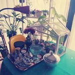 10932530_1625986537667521_1583485951_a