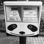 12751510_1145761685457789_367095705_a