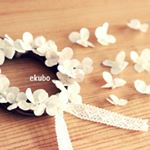 12749917_520781108095029_1148169014_a