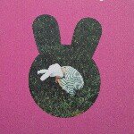 10311294_459943010816478_829684705_a