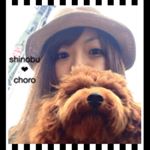 12093432_429027710633120_1023740800_a