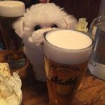 12826178_1124248037634110_1298285094_a