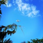 12783952_482176661977356_1238498498_a