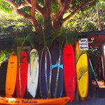 11358161_452426878215908_1846410138_a