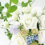 11296661_1647637798806670_1742212099_a