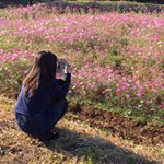 12063150_167863556895628_1151012899_a