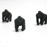 11349395_1674549019445148_381475449_a