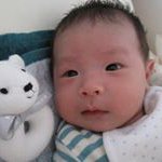 12339016_532926336888996_1738369836_a