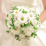 12093349_877289215680443_147462524_a