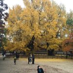 11906139_1669635999983038_282939317_a