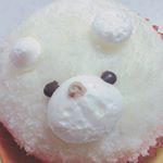 12797837_219952201690155_962031797_a